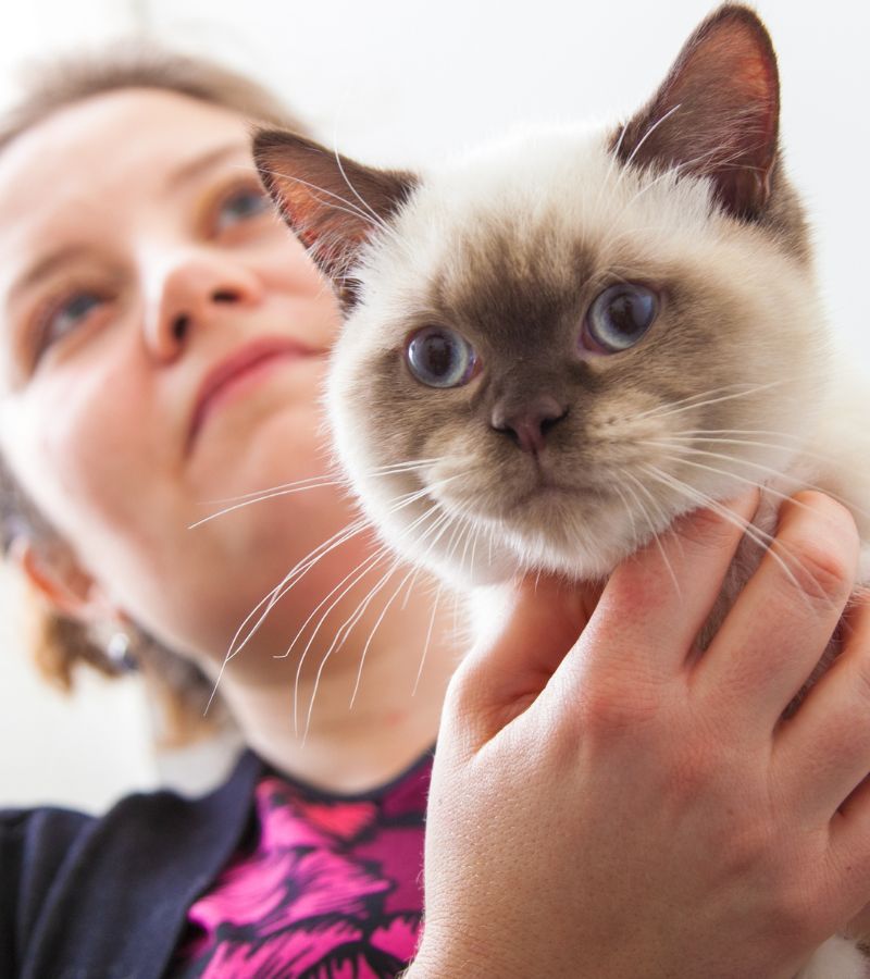 a staff member hoding a cat