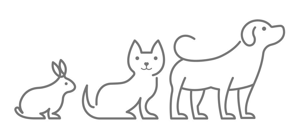 cat dog and rabbit illustration