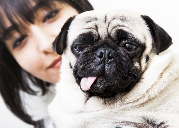 A woman holding a pug dog