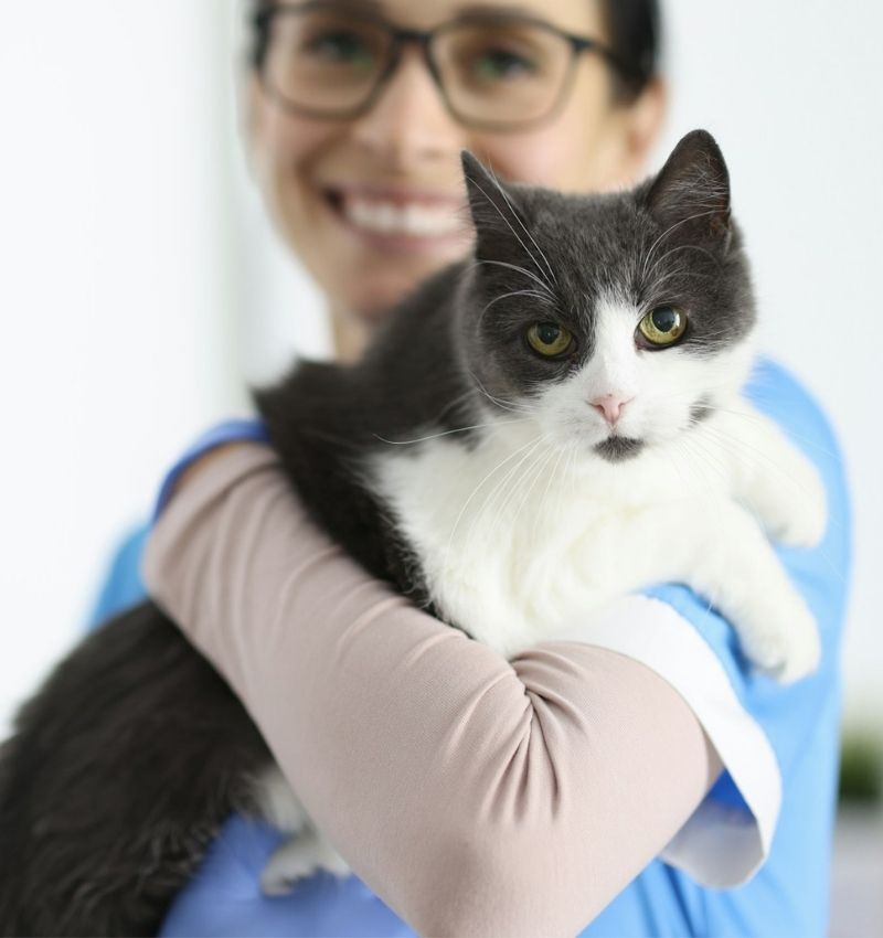 a man holding a puppy